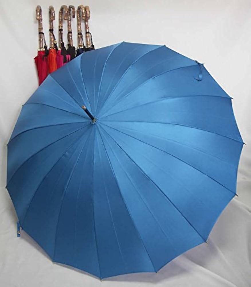 Amazon.co.jp: 前原傘 ブランド レディース 長傘 婦人用 雨傘 16